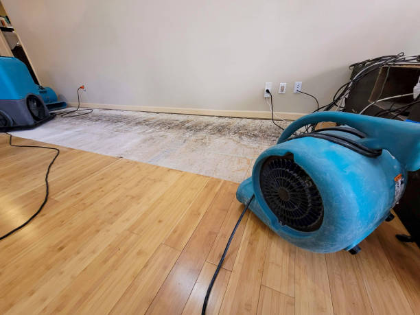 Professional Structural Drying technician working in Owens Cross Roads, AL